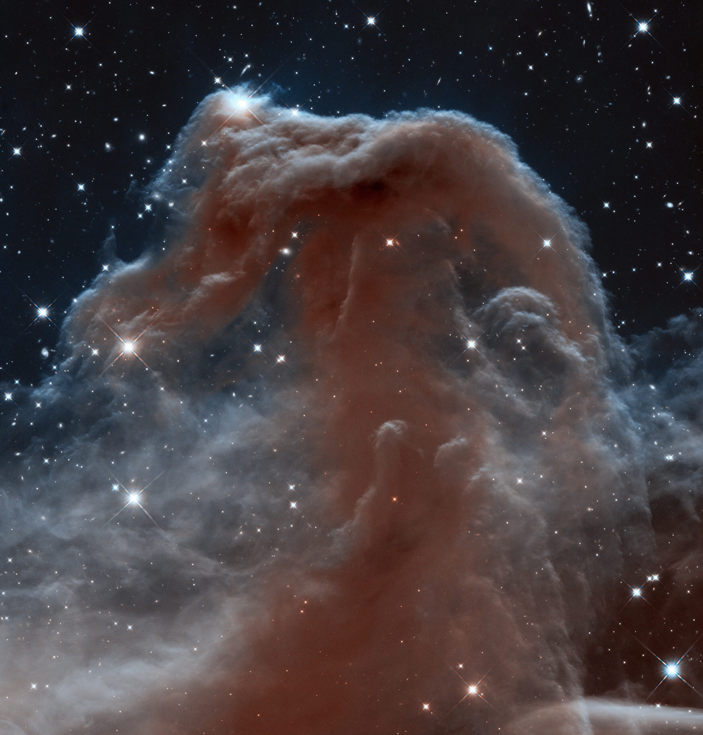 NASA Revealed A Galaxy Cluster