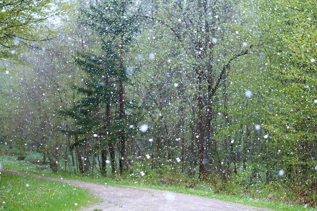 Strict Weather Alert – Buenos Aires Suffers!