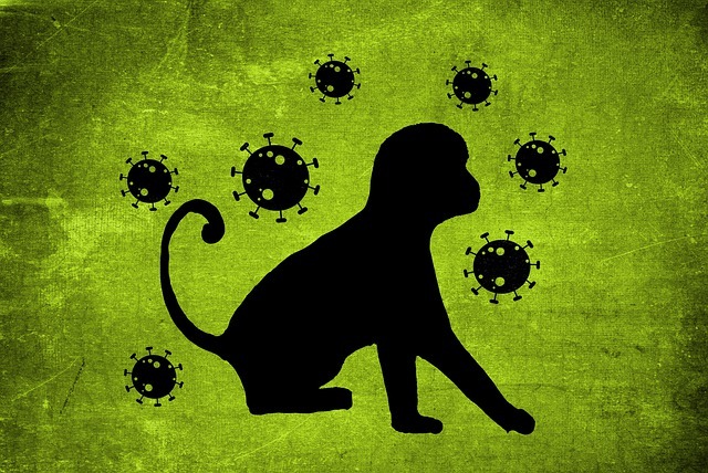 Monkeypox Considers As Emergency : WHO