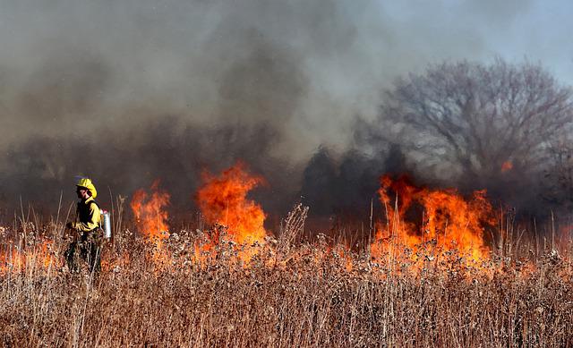 Massive Wildfire Hits Korea