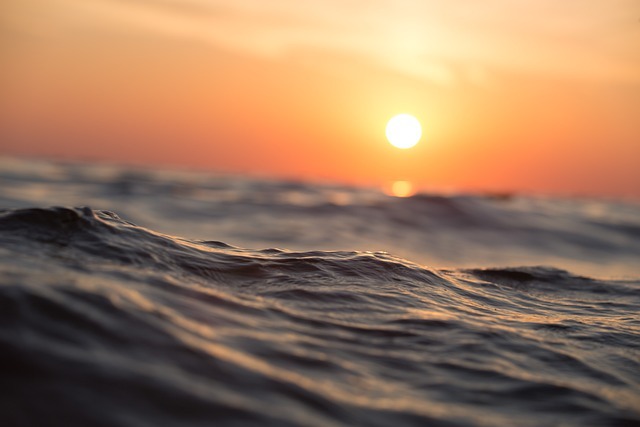 Sea