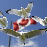 Report Shows Jews In Canada Heavily Abused